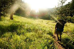 Wandern im Waldviertel